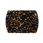 leopard 5