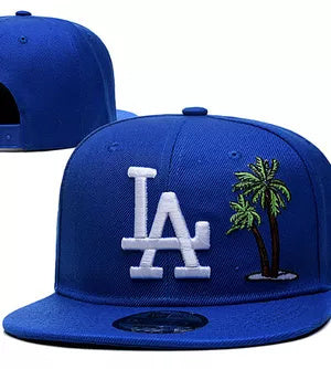 Urbant Snapback Caps